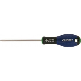 Tournevis TT30x125 EXPERT E165398