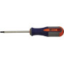 Tournevis Torx T25 GOPART 77325GP