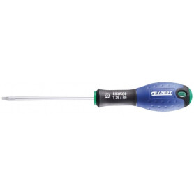 Tournevis T15x75 EXPERT E160506