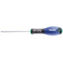Tournevis T10x75 EXPERT E160505