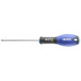 Tournevis PZ0x75 EXPERT E165319