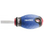 Tournevis fente 5,5x25 EXPERT E165400