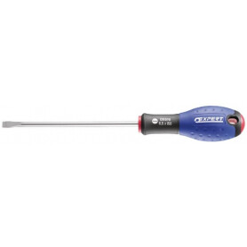 Tournevis fente 5,5x100 EXPERT E165098
