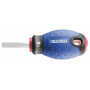 Tournevis fente 4x25 EXPERT E165484