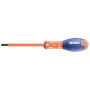 Tournevis EXPERT E165422