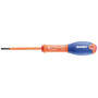 Tournevis EXPERT E165420