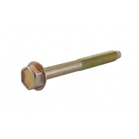 Vis BRIGGS ET STRATTON 690904
