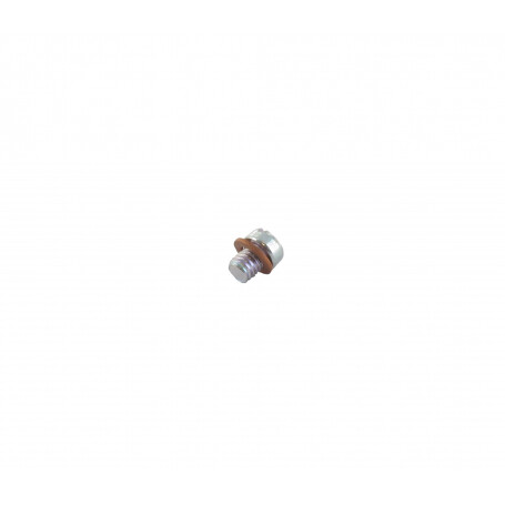 Vis BRIGGS ET STRATTON 807714