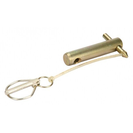 Pivot AMAZONE 6010300