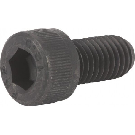 Vis KVERNELAND KG00595600