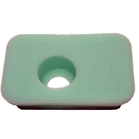 Filtro Air BRIGGS et STRATTON 270067