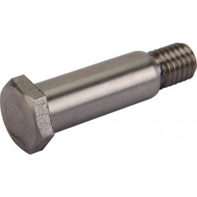 Boulon de charnière VICON VNB4808502