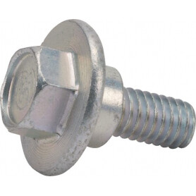 Vis BRIGGS ET STRATTON 1732426SM