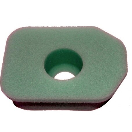 Filtro Air BRIGGS et STRATTON 270848