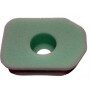 Filtro Air BRIGGS et STRATTON 270848