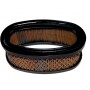 Filtro Air BRIGGS et STRATTON 393406