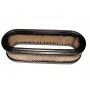 Filtro Air BRIGGS et STRATTON 394019