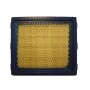 Filtre à air BRIGGS ET STRATTON 805113