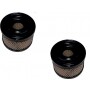 Filtro Air BRIGGS et STRATTON 390492 - 496047