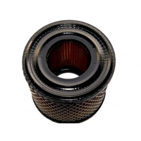Filtro Air BRIGGS et STRATTON 393957 - 390930