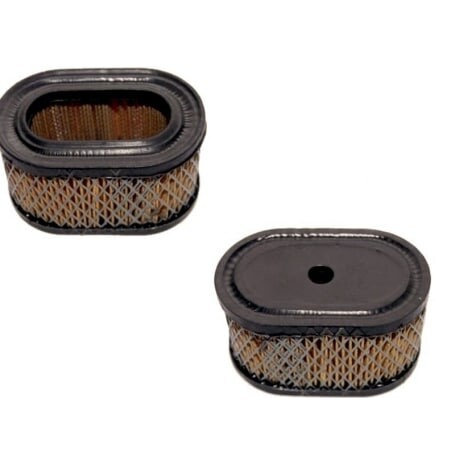 Filtro Air BRIGGS et STRATTON 494586 - 497725