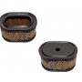 Filtro Air BRIGGS et STRATTON 494586 - 497725