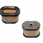 Filtro Air BRIGGS et STRATTON 690610 - 498596 - 697029