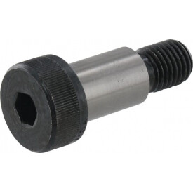 Passschraube 10 x 12 x 20 UNIVERSAL ISO7379101220