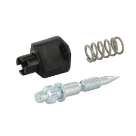 Vis BRIGGS ET STRATTON 793610