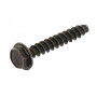 Vis BRIGGS ET STRATTON 698425