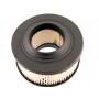 Filtro Air HOMELITE 46073