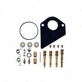 Kit de réparation carburateur BRIGGS ET STRATTON 495799 - 497535 - 494880 - 494384
