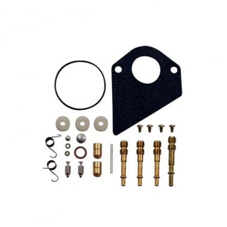 Kit reparación carburador BRIGGS ET STRATTON 495799 - 497535 - 494880 - 494384