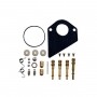 Kit reparación carburador BRIGGS ET STRATTON 495799 - 497535 - 494880 - 494384