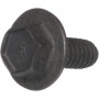Vis BRIGGS ET STRATTON 691125