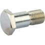 Boulon ajusté AGRIA AGW76388