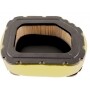 Filtro Air KOHLER 3208303