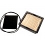Filtro Air KUBOTA 12812-11210
