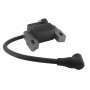 Bobine d'allumage BRIGGS ET STRATTON 590454