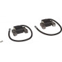 Kit de bobines d'allumage B&S BRIGGS ET STRATTON 843860