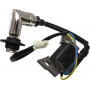 Bobine d'allumage BRIGGS ET STRATTON 317436GS