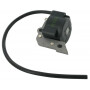 Bobine d'allumage ALPINA ALP3210690