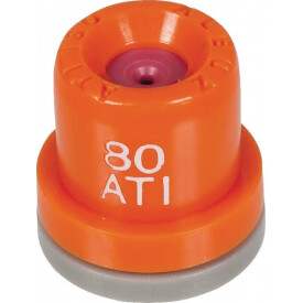Buse ALBUZ ATI8001