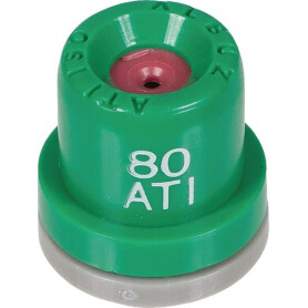 Buse ALBUZ ATI80015