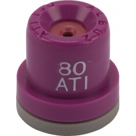 Buse ALBUZ ATI80025