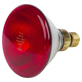Lampe chauffante à infrarouge 100W FARMA 802007FA