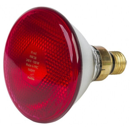 Lampe chauffante à infrarouge 175W FARMA 802008FA