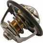 Thermostat NEW HOLLAND 504384724