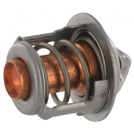 Thermostat ETESIA ET34392