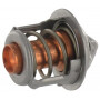 Thermostat ETESIA ET34392